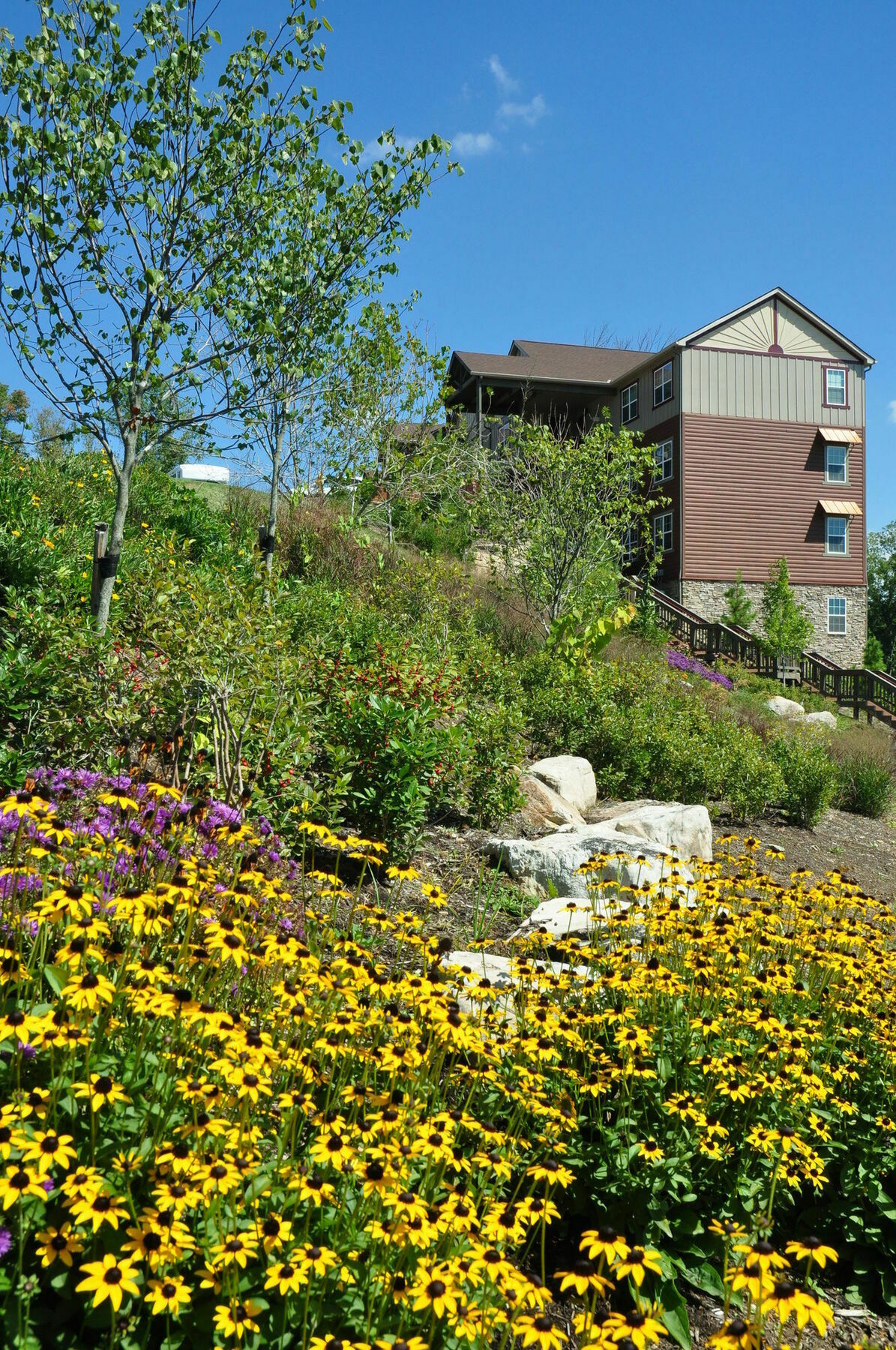 The Lodges Of The Great Smoky Mountains Pigeon Forge Kültér fotó